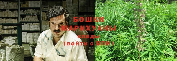 ГАЛЛЮЦИНОГЕННЫЕ ГРИБЫ Белоозёрский