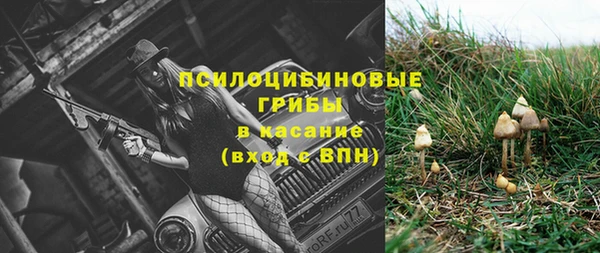 экстази Белокуриха