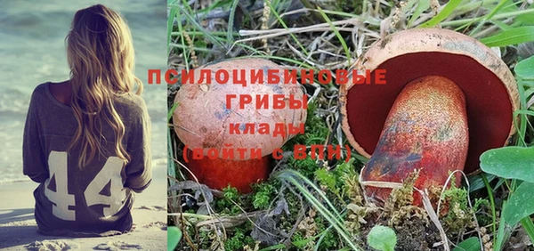 ГАЛЛЮЦИНОГЕННЫЕ ГРИБЫ Белоозёрский
