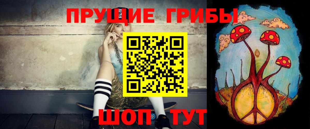 Псилоцибиновые грибы Psilocybe Воскресенск